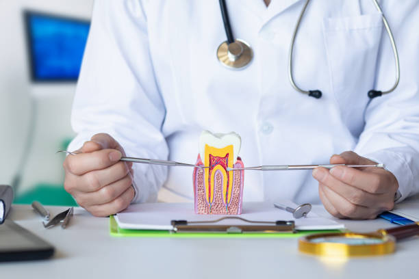 Best Emergency Orthodontic Repairs in Markle, IN